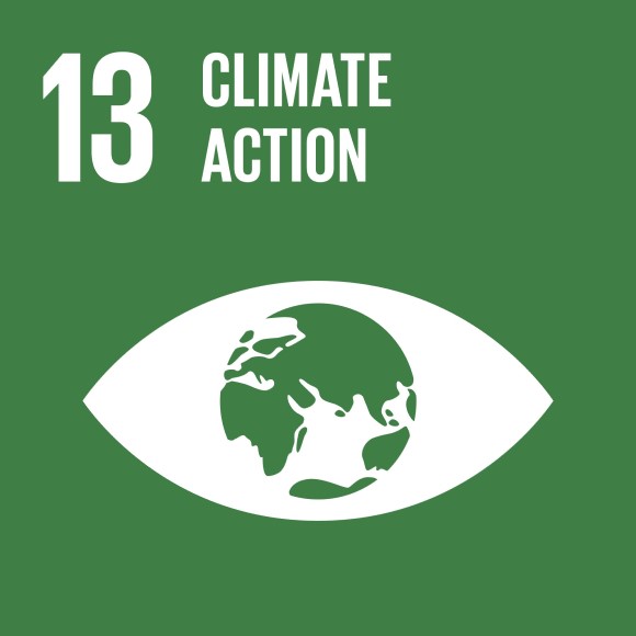Sustainable Development Goal (SDG) 13: Climate action