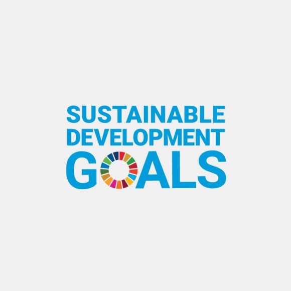 United Nations Sustainable Development Goals (SDGs)