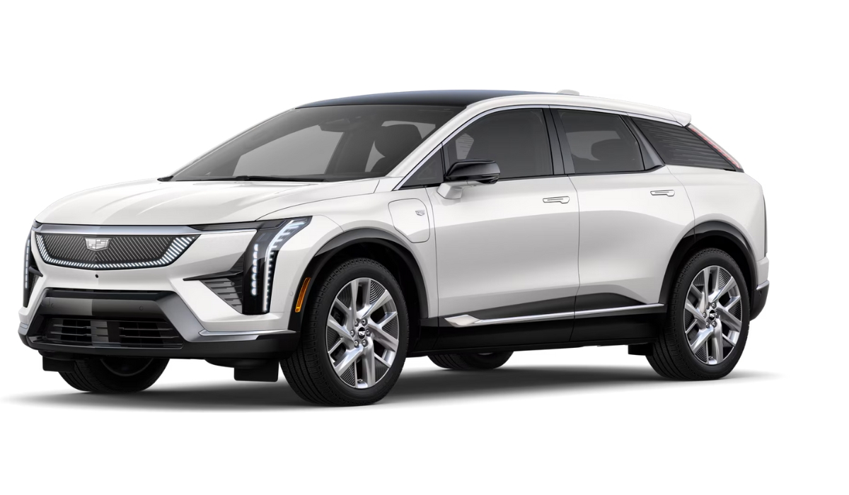 optiq luxury studio front