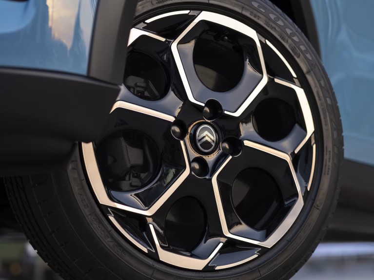 autonomous emergency braking