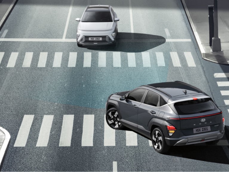 Forward Collisionavoidance Assist